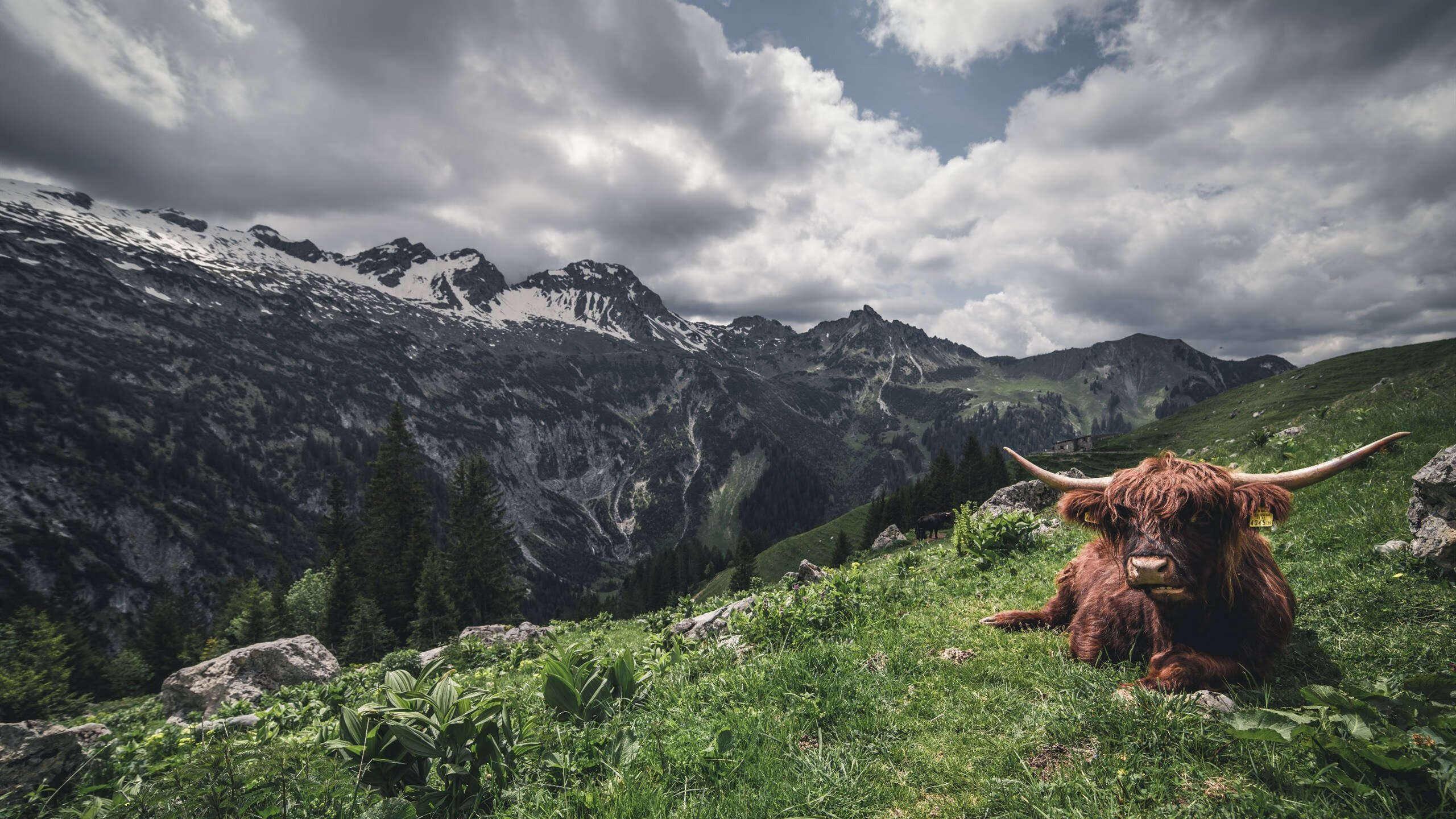 _体育+艺术展演:视觉与运动的奇幻融合_,视觉运动整合
